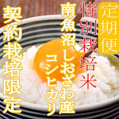 ふるさと納税 南魚沼市 【発送月固定定期便】※特別栽培米8Kg※生産者限定 南魚沼しおざわ産コシヒカリ全3回 |  | 02