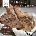 【ふるさと納税】3回定期便 天然酵母 ハード系パン3種セット《国産小麦 フランス産小麦 有機 無添加 パン バケット カンパーニュ 詰め合わせ セット 朝食 京都》☆月間MVPふるさと納税賞 第1号※北海道・沖縄・離島への配送不可