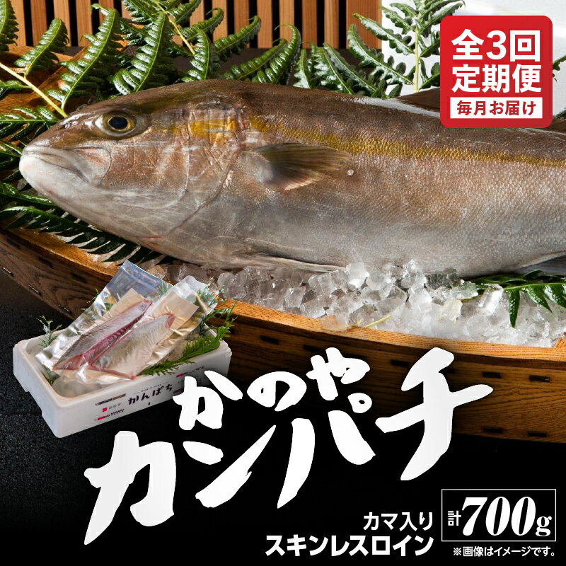 【ふるさと納税】【定期便 全3回】かのやカンパチ ロイン カマ入り かんぱち スキンレスロイン（骨・皮なし）×2柵 計700g かんぱち カマ 100g×1個 合計800g ×3回 総量2.4kg 鹿児島県産 国産 カンパチ かま 海産物 魚介 刺身【鹿屋市漁業協同組合】