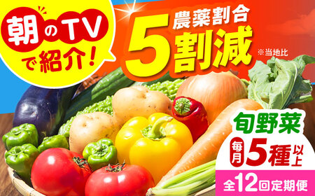 【全12回定期便】 米ぬかで育てた！旬のお野菜セット 大阪府高槻市/ベジ彩ファーム[AOEJ007] 野菜定期便