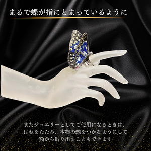 立体刺繍の蝶（オオムラサキ蝶）