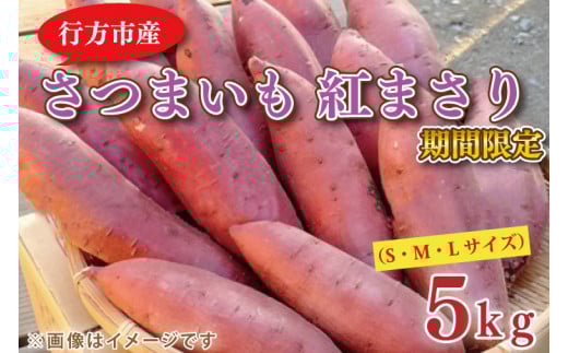 【2026年2月中旬より順次発送】野原さんちのさつまいも 紅まさり 約5kg｜芋 さつまいも サツマイモ お芋 いも 紅まさり 期間限定 先行予約 茨城県 行方市(EL-1-1)