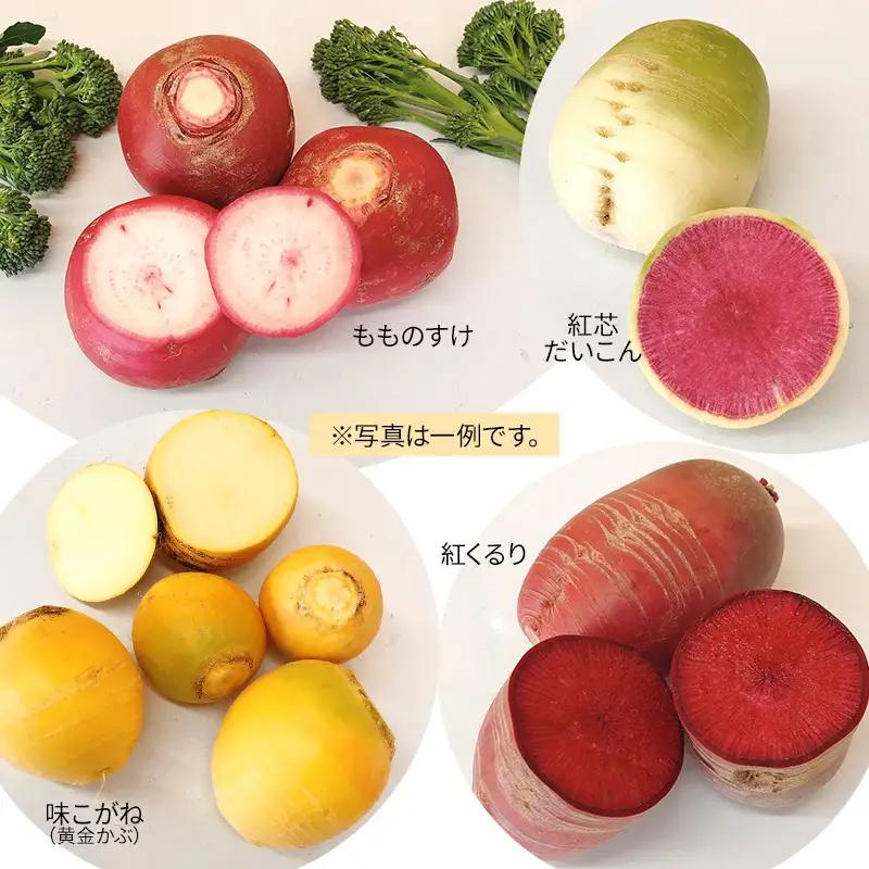 いろどり野菜セット (約8～10種類程度) 3㎏以上 山形県鶴岡産 やさいろ