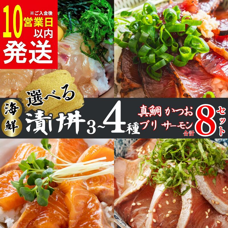 【ふるさと納税】 漬丼 厳選 4種 or 3種 8食 セット 真鯛 カツオ ブリ サーモン 10000円 食べ比べ 漬け丼 づけ丼 海鮮丼 鯛 たい かつお 鰹 鮭 冷凍 人気 魚介 海鮮 お手軽 加工品 簡単 晩ごはん 小分け パック 新鮮 養殖 国産 詰め合わせ 南予ビージョイ 愛南町 愛媛県