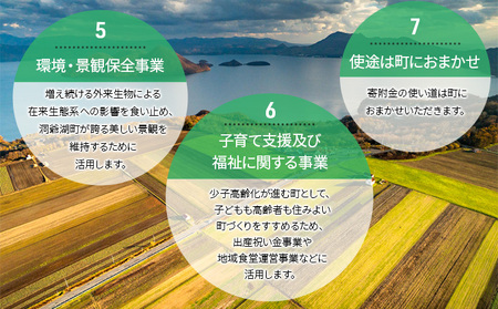 洞爺湖町 寄附のみの応援受付 2,000円コース（返礼品なし 寄附のみ 2000円） 支援 自治体支援 お礼の品なし 北海道 洞爺湖町の発展 ふるさと応援 ふるさと支援 
