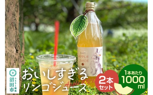 おいしすぎるリンゴジュース 1000ml×2本 ハミングバード [林檎 りんご リンゴ]