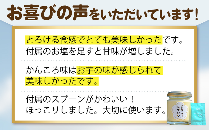 【全12回定期便】【ヒルナンデスで紹介されました！】ごとうで食べる 塩プリン 6個 椿スプーン付き【虎屋】 [RBA050]