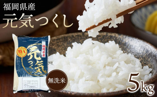 
                  【令和7年産】福岡県産ブランド米「元気つくし」無洗米　5kg【米 ブランド米 ブランド 白米 元気つくし 無洗米 令和7年産 家庭用 お取り寄せ お土産 福岡県産 取り寄せ グルメ 福岡県 大任町 AS050】
                