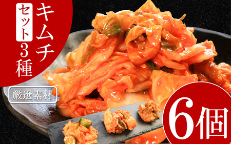 キムチ 3種 セット 計6個 本格キムチ カッパキムチ 白菜キムチ きゅうり