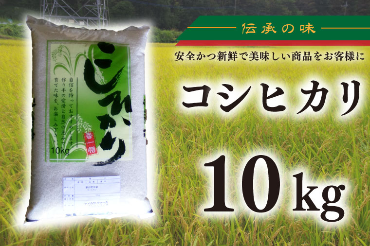 【令和6年産新米】コシヒカリ　10kg【新米　有機栽培　安心　美味しい　おにぎり　25000円以下】(BD103)