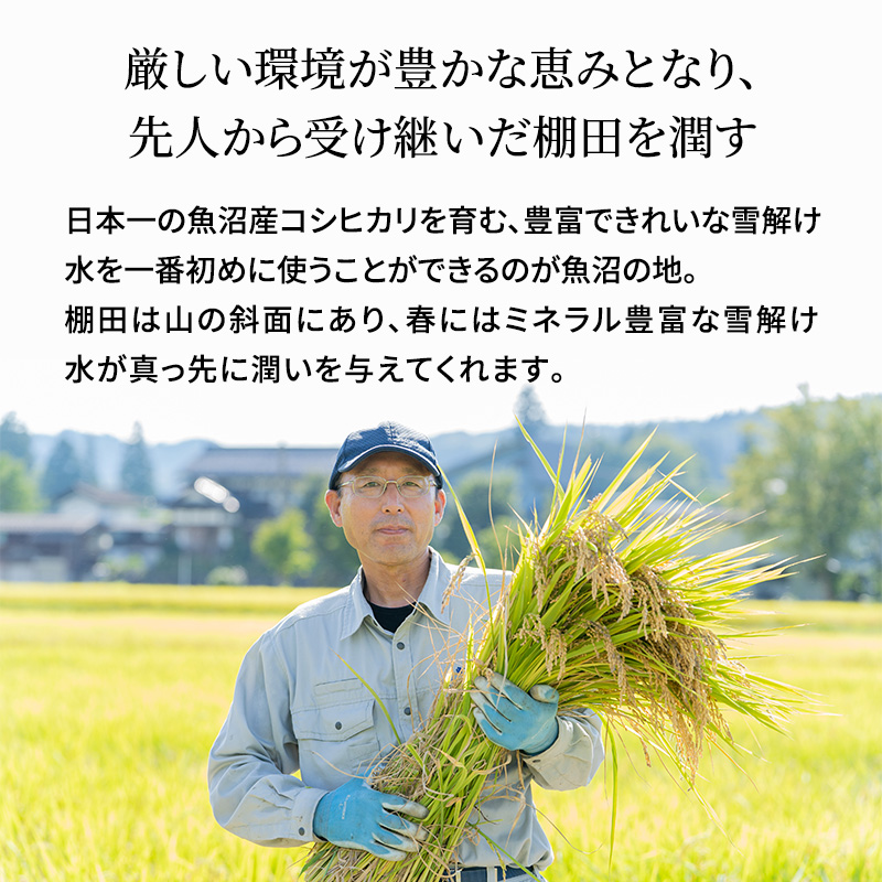 【令和7年産 新米先行受付】米農家自慢の 魚沼産 コシヒカリ （精米）5kg×1袋 お米 ライス ご飯 主食 新潟県産 産地直送 おにぎり お弁当