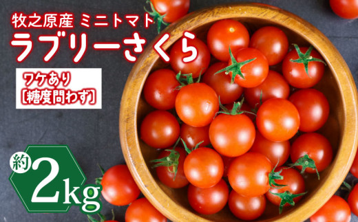 訳あり ミニ トマト フルーツ トマト ラブリーさくら うまたま 予約 受付 計 2kg 国産 野菜 フルーツ 甘い 別送 静岡県 牧之原市 山本農園