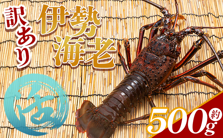 活 伊勢海老 計500g(1～2匹) 冷蔵 eb-0001