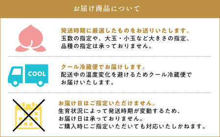 【レビューキャンペーン】≪8月～9月発送予定≫  品種お任せ 平川市産 白桃 約3kg (8-9玉）[hi-0039-003]