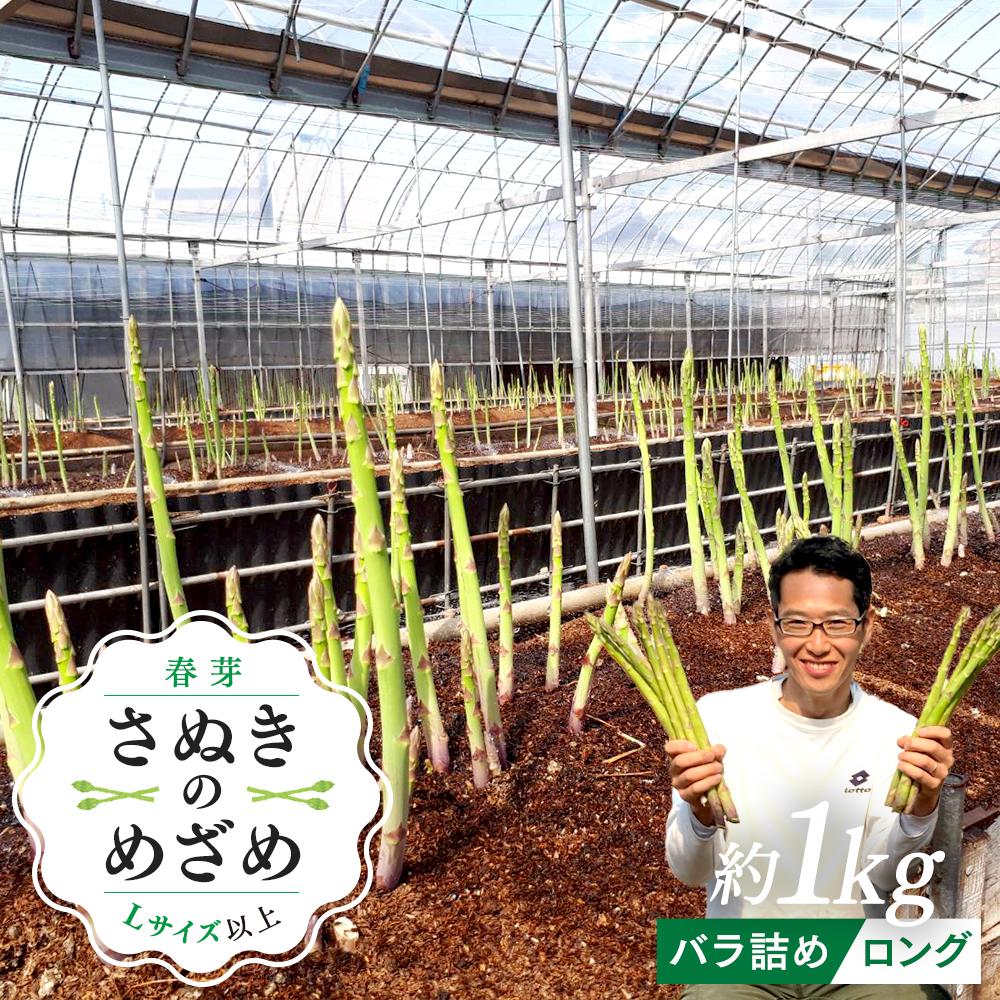 【ふるさと納税】【2月下旬頃～発送】カトちゃんさぬきのめざめロング 春芽 1kg バラ詰め | 野菜 アスパラガス アスパラ グリーン お取り寄せ 送料無料 期間限定