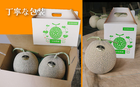 【2024年7月中旬～発送】北海道 ふらの 赤肉メロン 2玉入り 約2kg×2玉 (守田農園) メロン フルーツ 果物 新鮮 甘い 贈り物 ギフト 道産 ジューシー おやつ ふらの ブランド 夏 