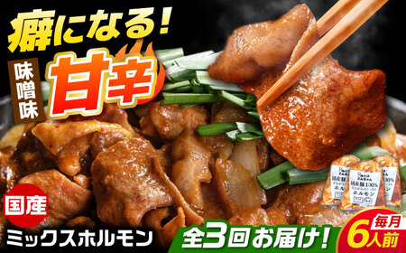 【3回定期便】 「元祖みたけとんちゃん」 昔ながらのミックスホルモン 3袋（6人前） / モツ もつ レバー ホルモン / 御嵩町 / 藤よし[AVAA085]