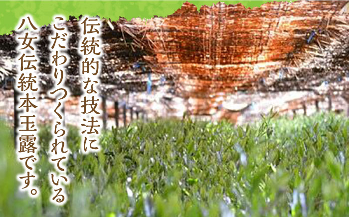 【新茶】八女茶 奥八女・星野村の伝統本玉露 80g《築上町》【株式会社ゼロプラス】 [ABDD052] 16000円 