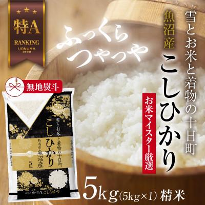 ふるさと納税 十日町市 【のし付き】 魚沼産 コシヒカリ 5kg  美味しい炊き方ガイド付き