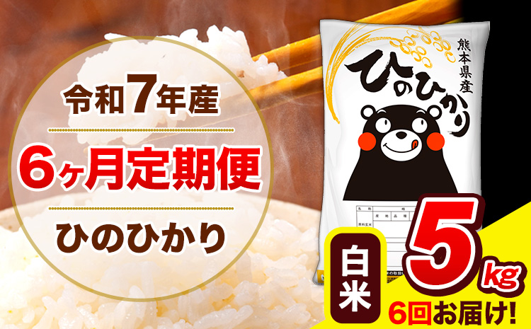 令和7年産 ひのひかり【6ヶ月定期便】白米  5kg (5kg×1袋) 計6回お届け 《お申込み翌月から出荷》 熊本県産 白米 精米 ひの 米 こめ お米 熊本県 長洲町---hn7tei_63000_5kg_mo6_ng_h---