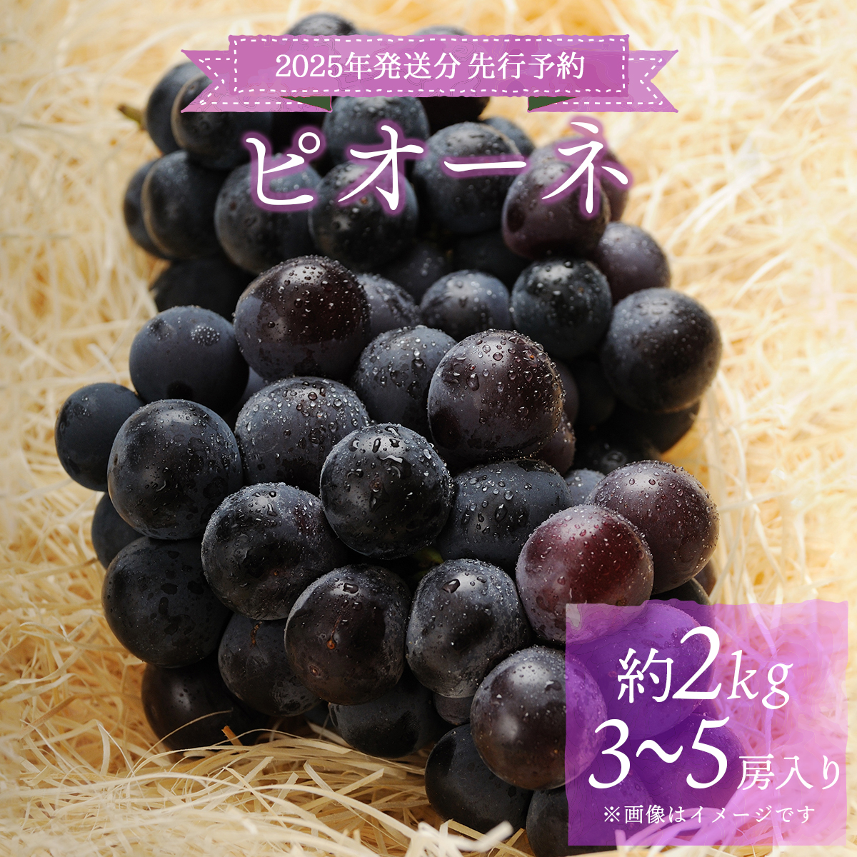 ＜2025年発送分 先行予約＞梅村ファーム 朝摘み直送 ピオーネ（3～5房入り 約2kg）【030-a014】