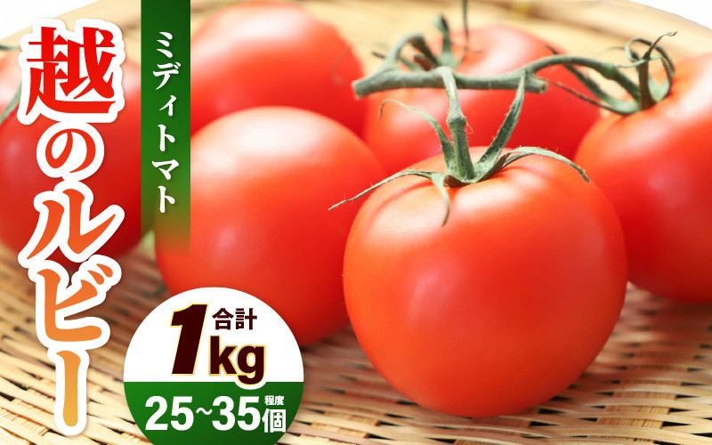 
            【先行予約】 越のルビー (ミディトマト) 約1kg (25～35個程度) 糖度8度 三里浜砂丘地産 甘くておいしい中玉トマト 【2026年6月上旬以降順次発送予定】 【トマト とまと 中玉とまと リコピン ブランド 豊富 野菜 生野菜 甘い 高糖度 産地直送 国産】 [A-19204]
          
