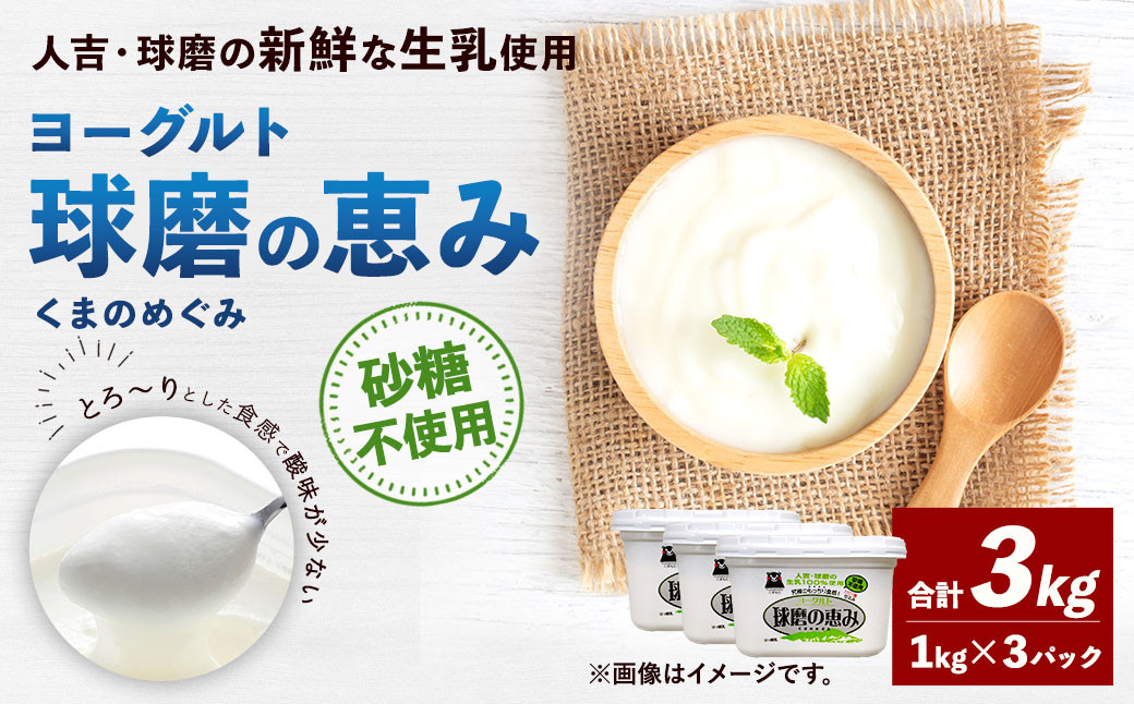 
球磨の恵み ヨーグルト (砂糖不使用) 合計 3kg (1kg×3パック) 乳製品 無糖
