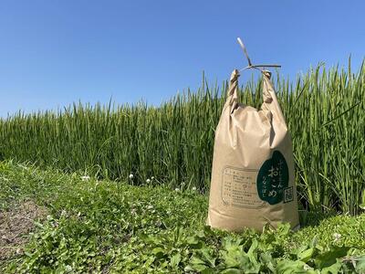 ふくしえんのおこめ（ななつぼし）10kg  | ななつぼし ななつぼし ななつぼし ななつぼし ななつぼし _01889