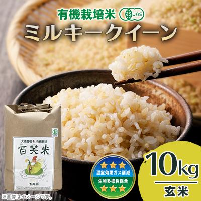 ふるさと納税 茨城県 百笑米の「天の恵」有機栽培ミルキークイーン10kg　〜玄米〜