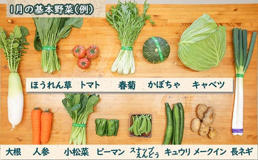 ７品目以上を基準に旬の野菜とお米セットでお届け