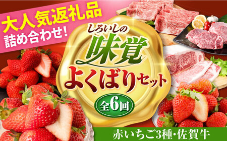 【R8年2月以降発送】【全6回定期便】赤いちご3種と佐賀牛のセット / いちご 牛肉 [IZZ027]