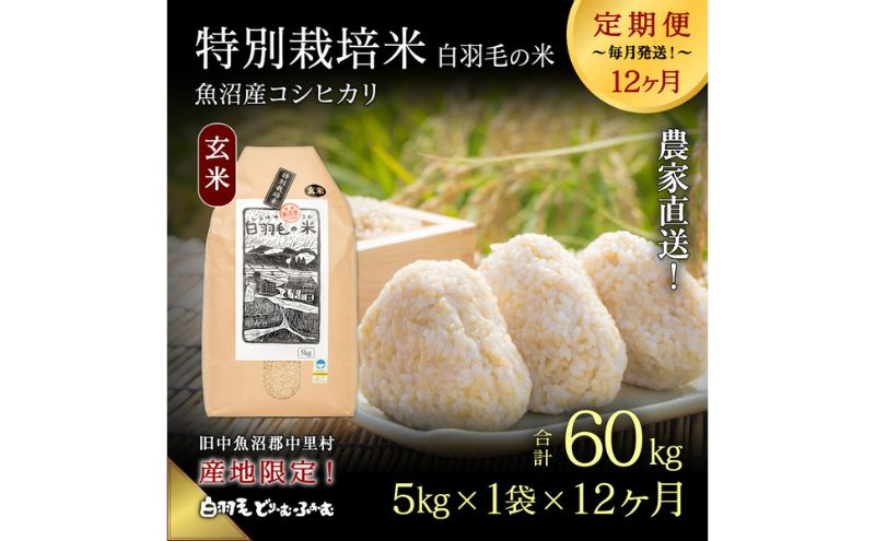 
【通年受付】≪令和6年産　≫【定期便／全12回】農家直送！魚沼産コシヒカリ特別栽培「白羽毛の米」玄米(5kg×1袋)×12回 60kg
