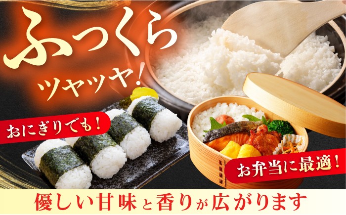 米 こめ お米 ライス 精白米 夢つくし