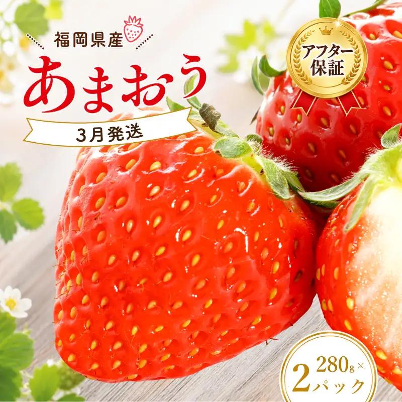 いちご あまおう 計560g [SEM003] いちご