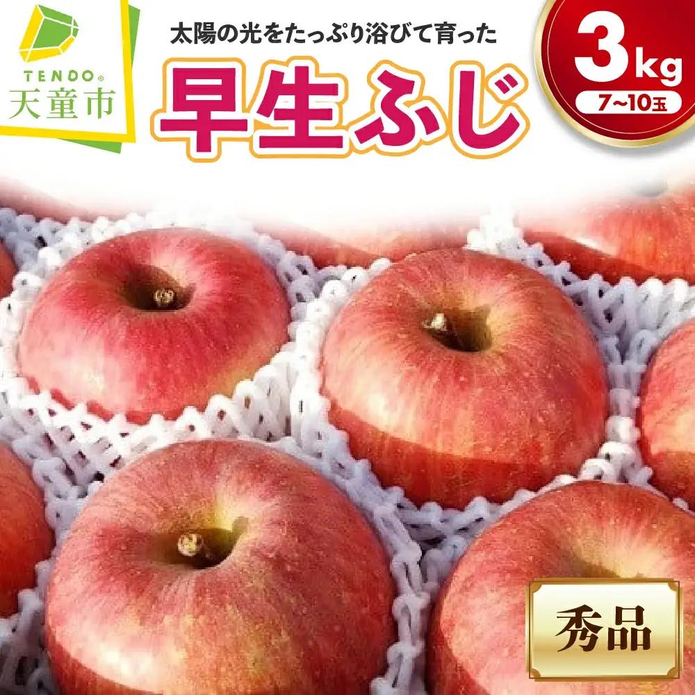 りんご 早生ふじ 3kg フルーツ 果物 山形 リンゴ ふじ