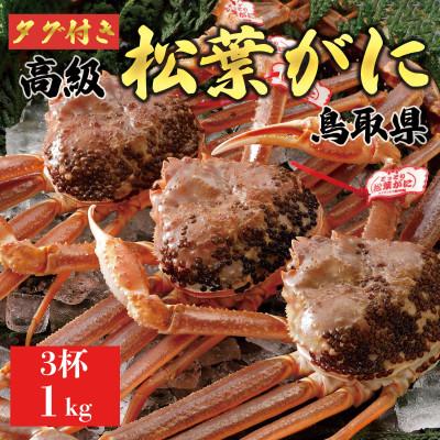 ふるさと納税 琴浦町 【2025年11月発送】特撰 松葉がに(生)【タグ付き】1kg3杯 ※足の欠けなし N3_I