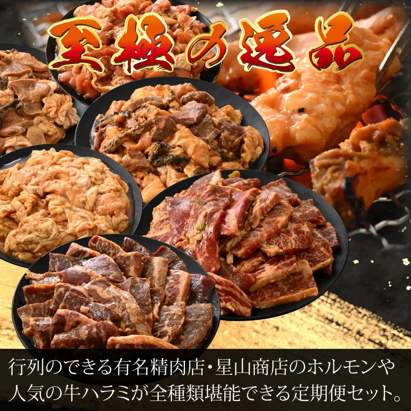 【6ヶ月定期便】星山ホルモン全種、若鶏、牛ハラミ、牛カルビセット | ホルモン 焼肉 BBQ