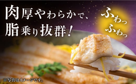 対馬産 西沖あなご 200g×3パック《対馬市》【保家商事】 あなご アナゴ 穴子 海鮮 海産物 魚介 人気 ランキング 冷凍 対馬 長崎 九州 贈答 魚 煮穴子 肉厚 [WAA005]