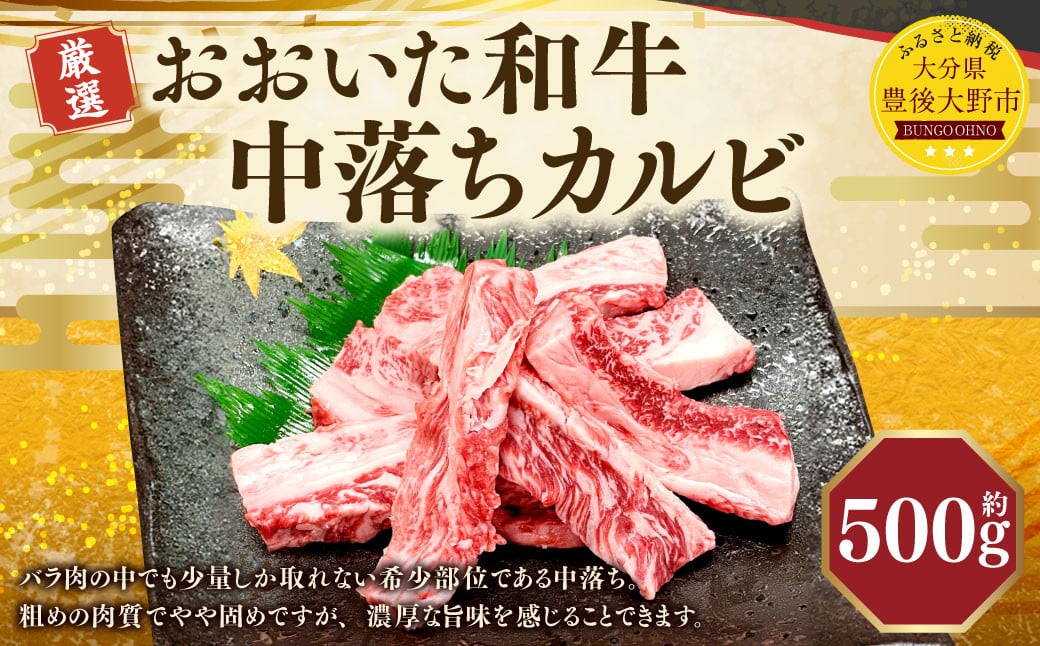 173-1178 おおいた和牛 中落ちカルビ（500g）和牛 カルビ 牛肉 冷凍 肉 焼肉 鉄板焼 BBQ バーベキュー お取り寄せ グルメ 