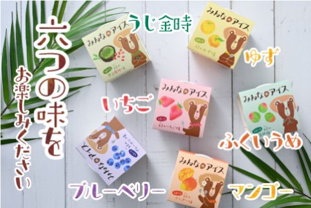 みんなのアイス 12個セット（ 卵・牛乳・小麦等アレルギー特定原材料8品目不使用のアイス ） [A-031004]