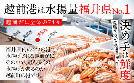 【訳あり】≪浜茹で≫越前がに 1杯（生で700g前後）【雄 ズワイガニ かに カニ 蟹 越前ガニ 姿 ボイル 冷蔵 福井県】【12月発送分】希望日指定可 備考欄に希望日をご記入ください [e68-x0