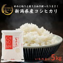 【ふるさと納税】新米 米 白米 米5kg 令和6年産 新潟県産 コシヒカリ『いちのまい』5kg 糸魚川産 米・食味鑑定士お墨付き 精米したてを発送 清らかな湧水と澄んだ空気に育まれた恵みの米 新潟米 農家直送 ブランド米 精米 おにぎり お弁当 コシヒカリ5kg 糸魚川農業興舎