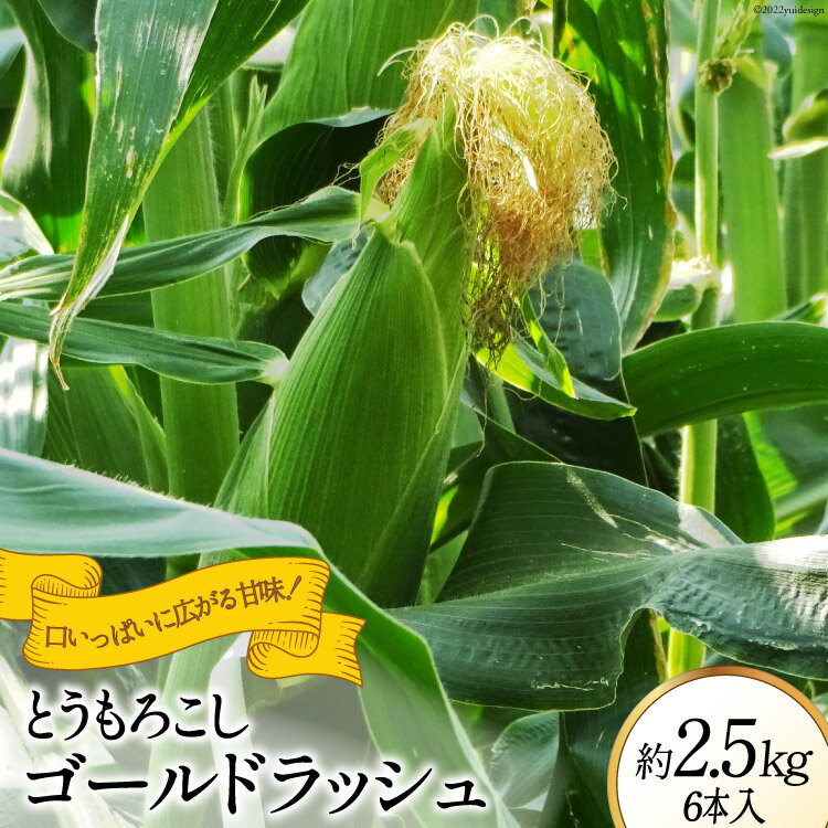 【ふるさと納税】【2025年発送】 とうもろこし ゴールドラッシュ 約2.5kg 6本入 [JAふえふき 山梨県 中央市] やさい 野菜 トウモロコシ コーン 2.5キロ 6本 季節限定 期間限定 数量限定 山梨 山梨県産 【2025年6月上旬～6月下旬発送予定】