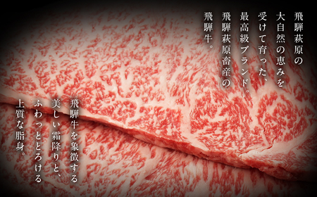 飛騨牛サーロインステーキ  200g×2枚 牛肉 国産 ブランド牛【22-17】【冷凍】
