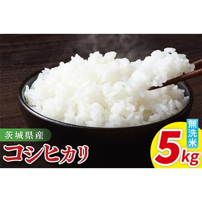 ふるさと納税 阿見町 茨城県産コシヒカリ　無洗米　5kg(85-14)