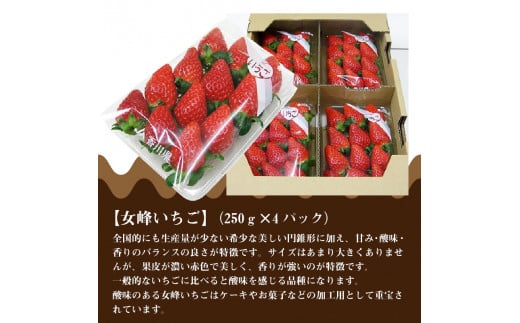 M02-0030_【ふるさと納税】【配送不可地域：北海道・沖縄県・離島】 いちご 食べ比べ セット 女峰いちご さぬきひめ 各 250g 4パック 計 約 2kg 2月上旬より順次発送 甘み 酸味 香