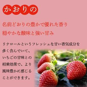 《2月発送》 先行予約 訳あり いちご やよいひめ かおりの 2種 計1840g いちご いちご いちご