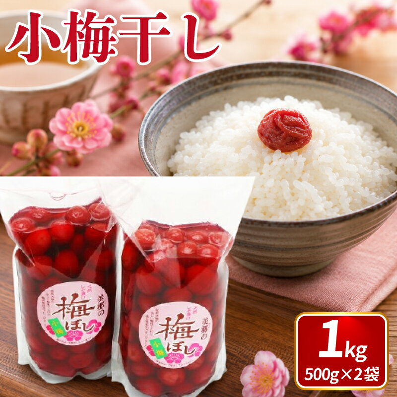 【ふるさと納税】 梅干し 1kg (500g×2) 梅 うめ 果物 フルーツ しそ 塩 おつまみ おかず 弁当 惣菜 朝食 漬物 ビール ハイボール 焼酎 果実酒 ギフト プレゼント 贈答 送料無料 徳島県 吉野川市