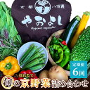 【ふるさと納税】野菜 定期便 6ヶ月 京都 丹波野菜 詰め合わせ セット 京都やおよし 有機野菜 京野菜 オーガニック 有機JAS 栽培期間中農薬不使用 野菜定期 定期 お楽しみ 6回 ※北海道・沖縄・離島への発送不可　【定期便・ 南丹市 】