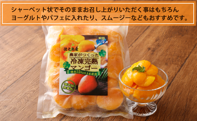 【鹿児島県天城町】天城町産 冷凍 完熟 マンゴー 500g 冷凍マンゴー フルーツ